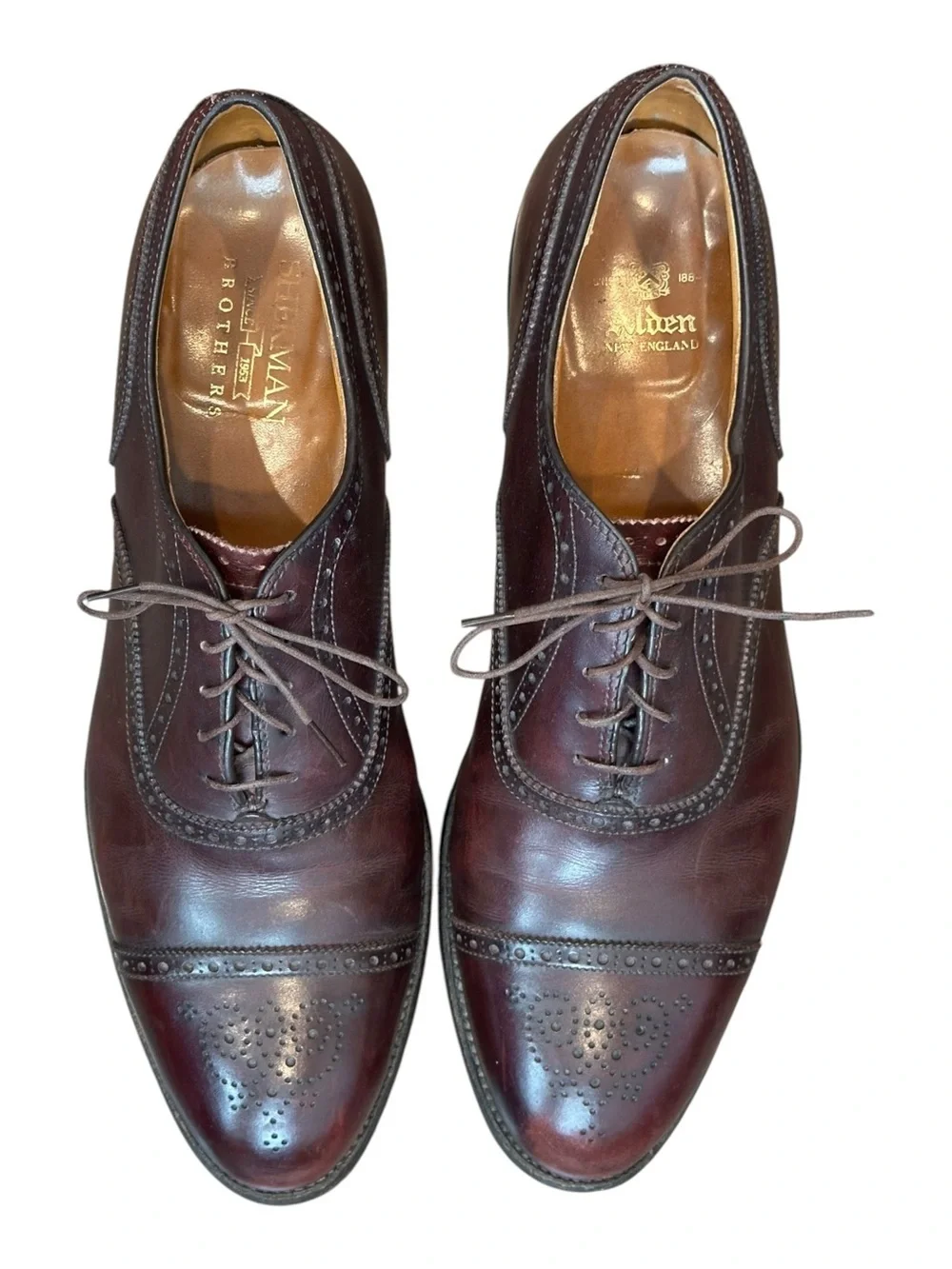 Alden 908 Medallion Perf Tip Bal Oxford Burgundy Calf Hampton Last 12.5 AA/B USA